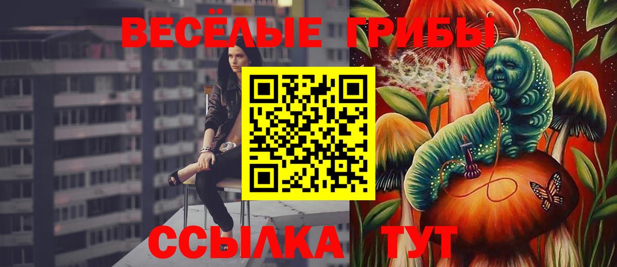 Галлюциногенные грибы GOLDEN TEACHER Набережные Челны