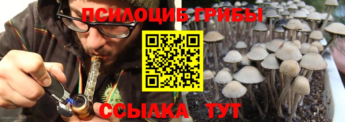 Набережные Челны  Галлюциногенные грибы Psilocybine cubensis  Вход с VPN 